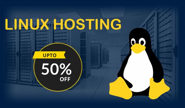 Web Hosting