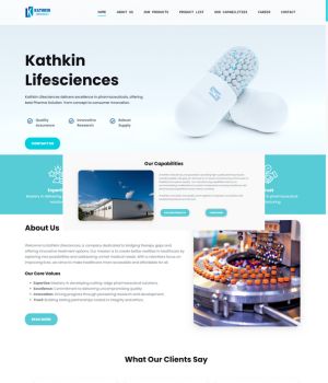Portfolio Project